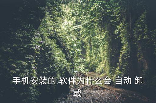 手機(jī)安裝的 軟件為什么會(huì) 自動(dòng) 卸載