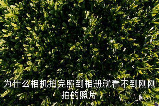 為什么相機拍完照到相冊就看不到剛剛拍的照片