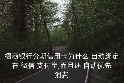 微信 支付寶 自動(dòng)還款是怎么回事,如何使用信用卡還款?