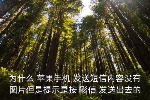 為什么 蘋果手機 發(fā)送短信內容沒有圖片但是提示是按 彩信 發(fā)送出去的