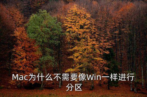 mac 不自動掛載分區(qū),mac上如何掛載文件系統(tǒng)?