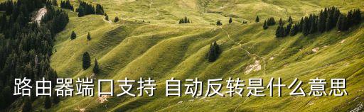 路由器端口支持 自動(dòng)反轉(zhuǎn)是什么意思