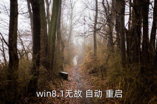  win8.1無故 自動 重啟