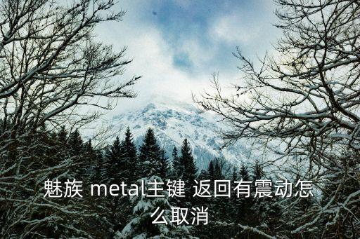 魅族 metal主鍵 返回有震動(dòng)怎么取消