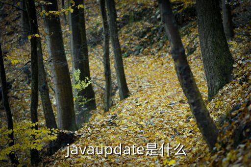  javaupdate是什么