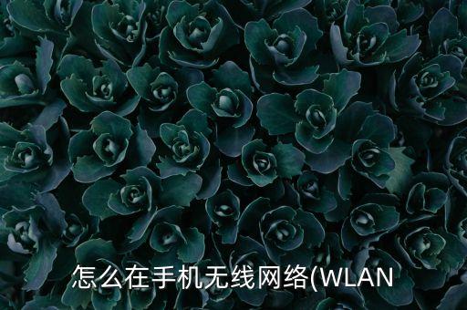 取消wifi自動(dòng)登錄,wifi連接到cmcc網(wǎng)絡(luò)怎么辦?