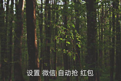 微信紅包如何自動(dòng)領(lǐng)取,微信紅包虛假提示文字可以看情況