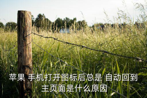 蘋果 手機(jī)打開圖標(biāo)后總是 自動回到 主頁面是什么原因