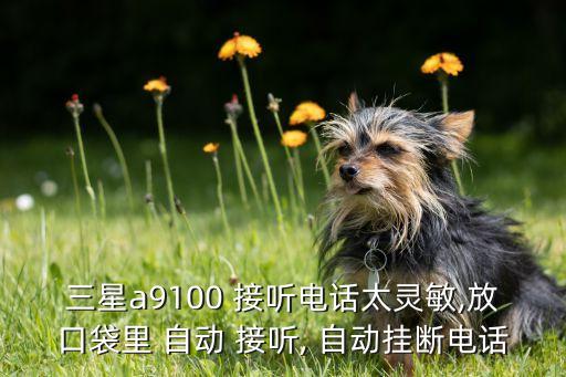 支持自動接聽的手機(jī),手機(jī)怎么去-1接聽電話