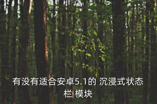 自動(dòng)沉浸模塊,怎么玩?