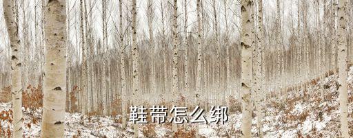自動綁鞋帶,萬能運動鞋鞋帶系法指南