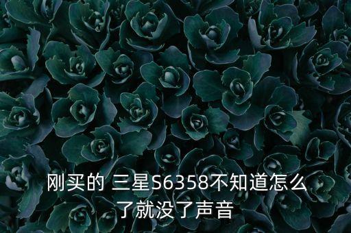  剛買的 三星S6358不知道怎么了就沒了聲音