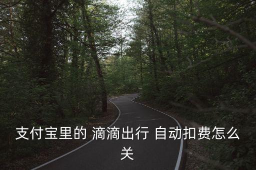支付寶里的 滴滴出行 自動(dòng)扣費(fèi)怎么關(guān)