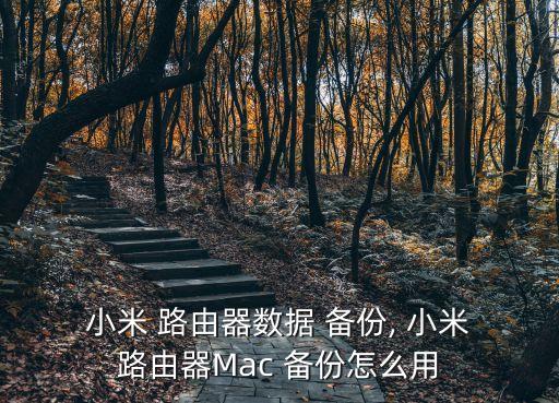  小米 路由器數(shù)據(jù) 備份, 小米 路由器Mac 備份怎么用