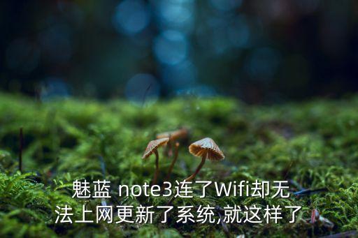  魅藍(lán) note3連了Wifi卻無法上網(wǎng)更新了系統(tǒng),就這樣了