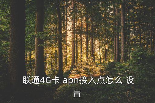 聯(lián)通4G卡 apn接入點(diǎn)怎么 設(shè)置