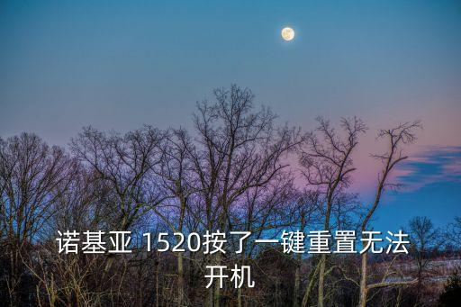  諾基亞 1520按了一鍵重置無(wú)法開(kāi)機(jī)