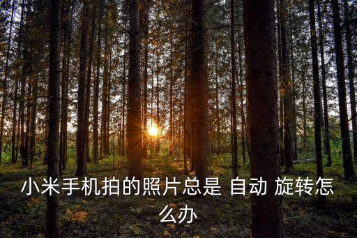 拍完照照片自動旋轉(zhuǎn),設(shè)置手機(jī)自拍翻轉(zhuǎn)功能需注意什么?