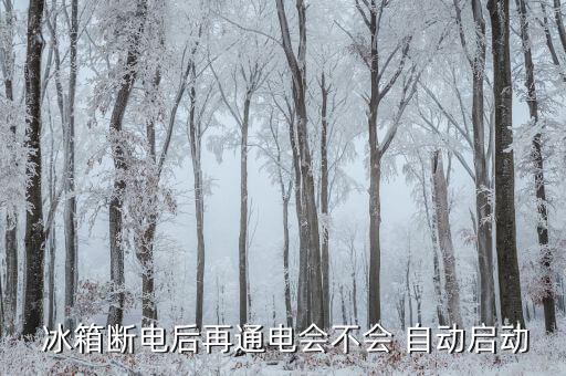 冰箱 停電自動(dòng)保護(hù),冰箱停電后要等20分鐘才能開始通電