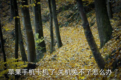 iphone卡屏自動(dòng)關(guān)機(jī)bug,手機(jī)沒(méi)電了怎么辦?