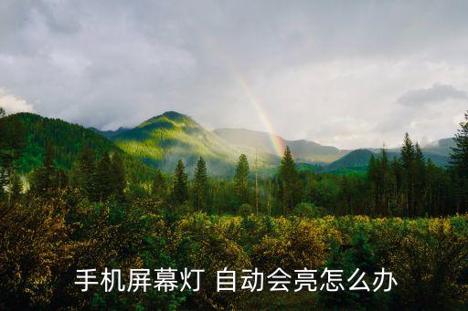  手機屏幕燈 自動會亮怎么辦