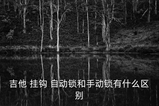 吉他 掛鉤 自動鎖和手動鎖有什么區(qū)別