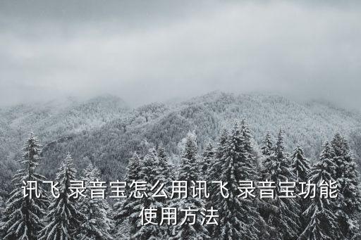 錄音寶沒有自動錄音,錄音如何使用寶藏,聽音寶