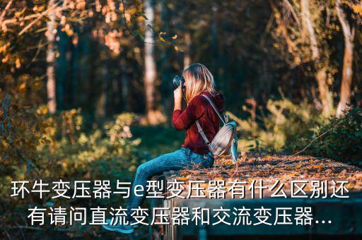 環(huán)牛變壓器與e型變壓器有什么區(qū)別還有請問直流變壓器和交流變壓器...