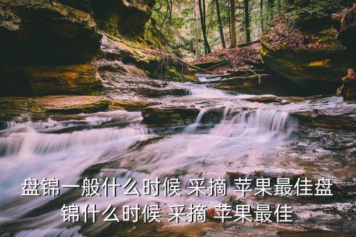 盤錦一般什么時(shí)候 采摘 蘋果最佳盤錦什么時(shí)候 采摘 蘋果最佳
