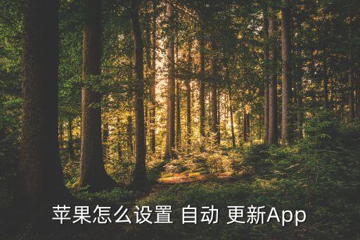 蘋果怎么設(shè)置 自動(dòng) 更新App