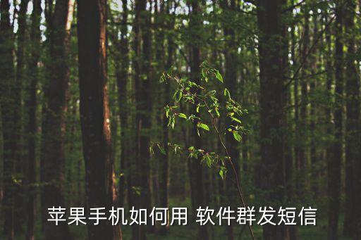  蘋果手機(jī)如何用 軟件群發(fā)短信