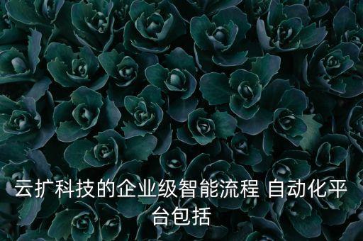 云擴(kuò)科技的企業(yè)級(jí)智能流程 自動(dòng)化平臺(tái)包括