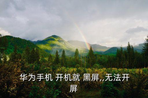  華為手機(jī) 開機(jī)就 黑屏,,無(wú)法開屏