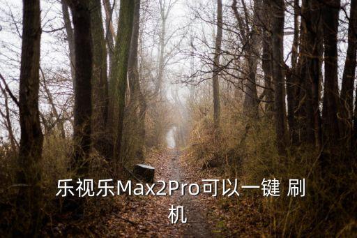 樂(lè)視max2手機(jī)自動(dòng)刷機(jī),手機(jī)不停機(jī)刷機(jī)怎么辦?