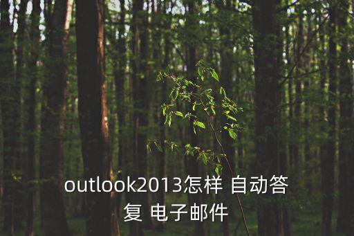 outlook2013怎樣 自動(dòng)答復(fù) 電子郵件