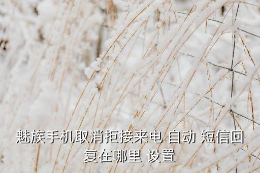 魅族手機取消拒接來電 自動 短信回復(fù)在哪里 設(shè)置