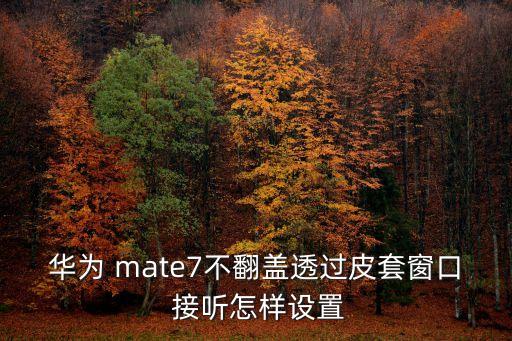 華為 mate7不翻蓋透過皮套窗口 接聽怎樣設(shè)置