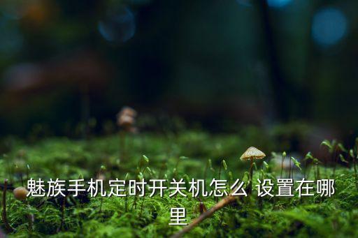 魅族設(shè)置自動(dòng)接通,設(shè)置魅族手機(jī)時(shí)間開關(guān)機(jī)步驟如下