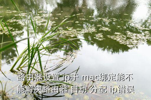 mac 自動分配ip,計算機在綁定之前已獲-1雙向綁定方式