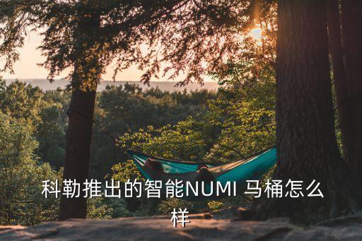 科勒電子自動(dòng)馬桶,馬桶新品體驗(yàn)活動(dòng)!我和老婆第一眼就被迷住