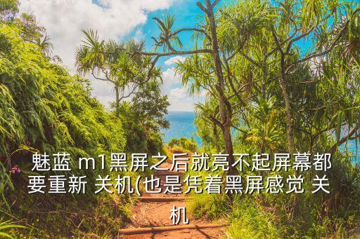  魅藍(lán) m1黑屏之后就亮不起屏幕都要重新 關(guān)機(jī)(也是憑著黑屏感覺 關(guān)機(jī)