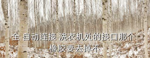 自動(dòng)洗衣機(jī)毛絨橡膠塊,關(guān)于自動(dòng)洗衣機(jī)你必須知道的事