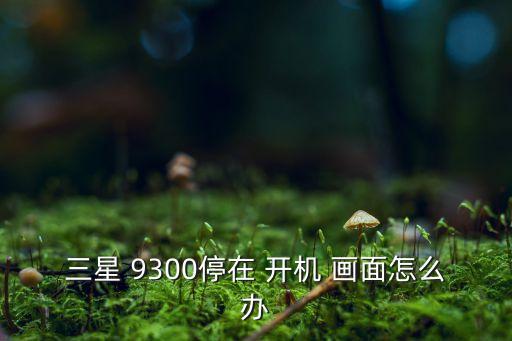 9300自動(dòng)開(kāi)機(jī)畫(huà)面,手機(jī)充電一段時(shí)間后重開(kāi)或死機(jī)怎么辦?