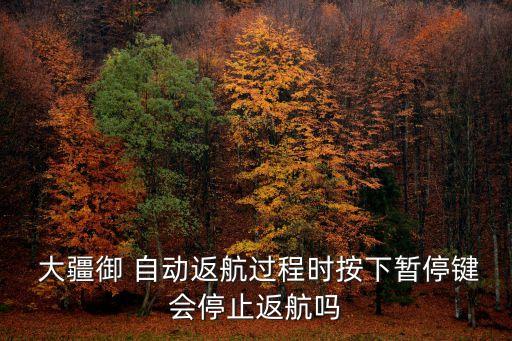  大疆御 自動(dòng)返航過程時(shí)按下暫停鍵會(huì)停止返航嗎