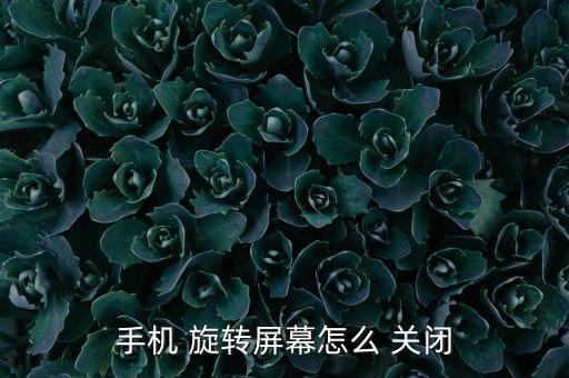 自動旋轉(zhuǎn)怎么關(guān)閉,三方應用可自主控制是否跟隨系統(tǒng)自動旋轉(zhuǎn)