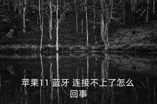  蘋果11 藍牙 連接不上了怎么 回事