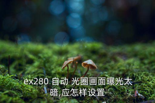  ex280 自動 光圈畫面曝光太暗,應(yīng)怎樣設(shè)置