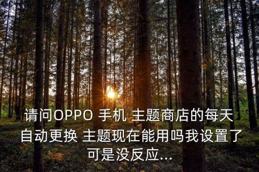 請問OPPO 手機 主題商店的每天 自動更換 主題現(xiàn)在能用嗎我設(shè)置了可是沒反應(yīng)...