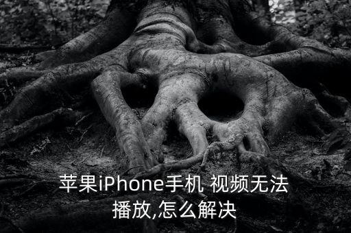 蘋果視頻無法自動播放,為何不能播放?可能是因為下面三點!