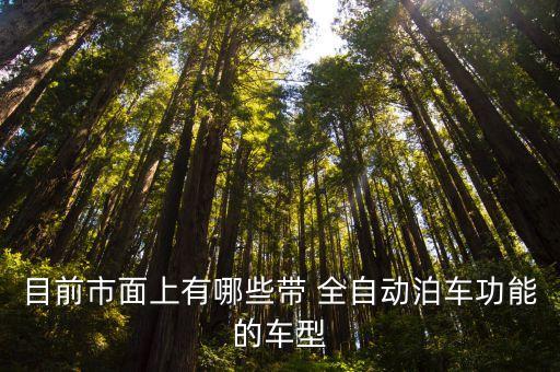 全自動嬌車,全自動智能洗車機價格在幾萬到幾十萬之間